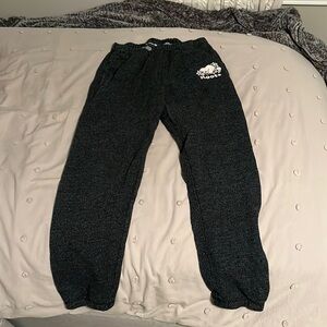 Roots sweatpants